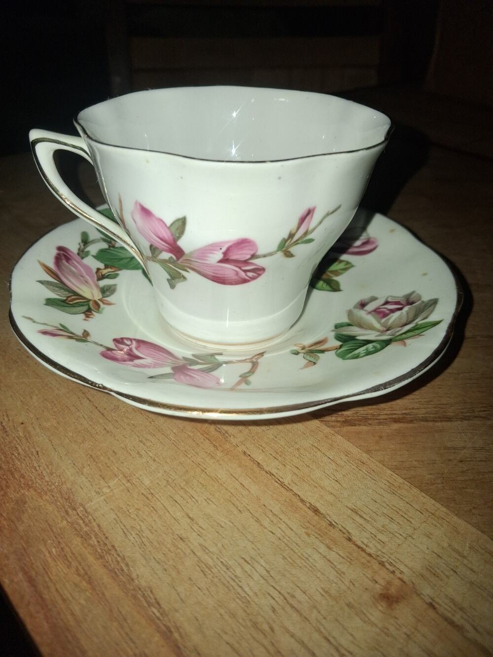 Vintage Rosina Fine Bone China Teacup & Saucer – Pink Magnolia Pattern #5062